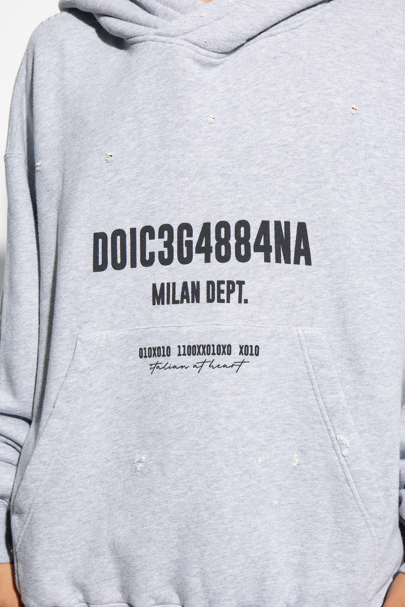 SchaferandweinerShops Bhutan - Grey Printed hoodie Dolce & Gabbana 